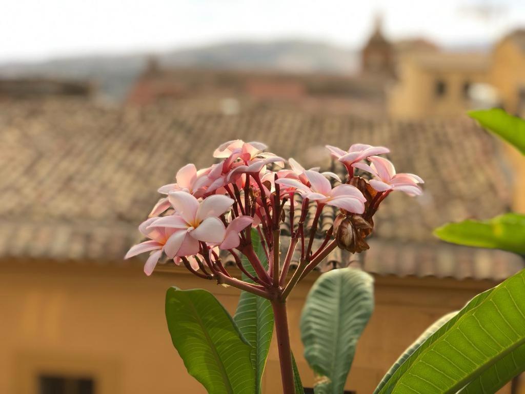 Terrazze Di Montelusa Agrigento Exterior foto